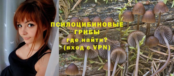 амф Алзамай