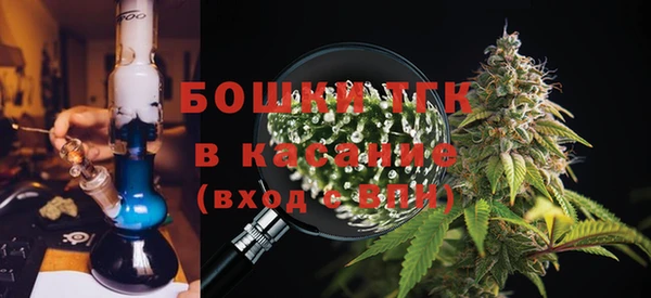 гидра Алексеевка
